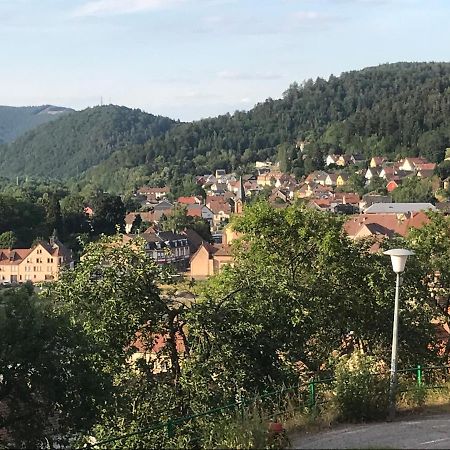 Chez Jose Apartment Rothau ภายนอก รูปภาพ