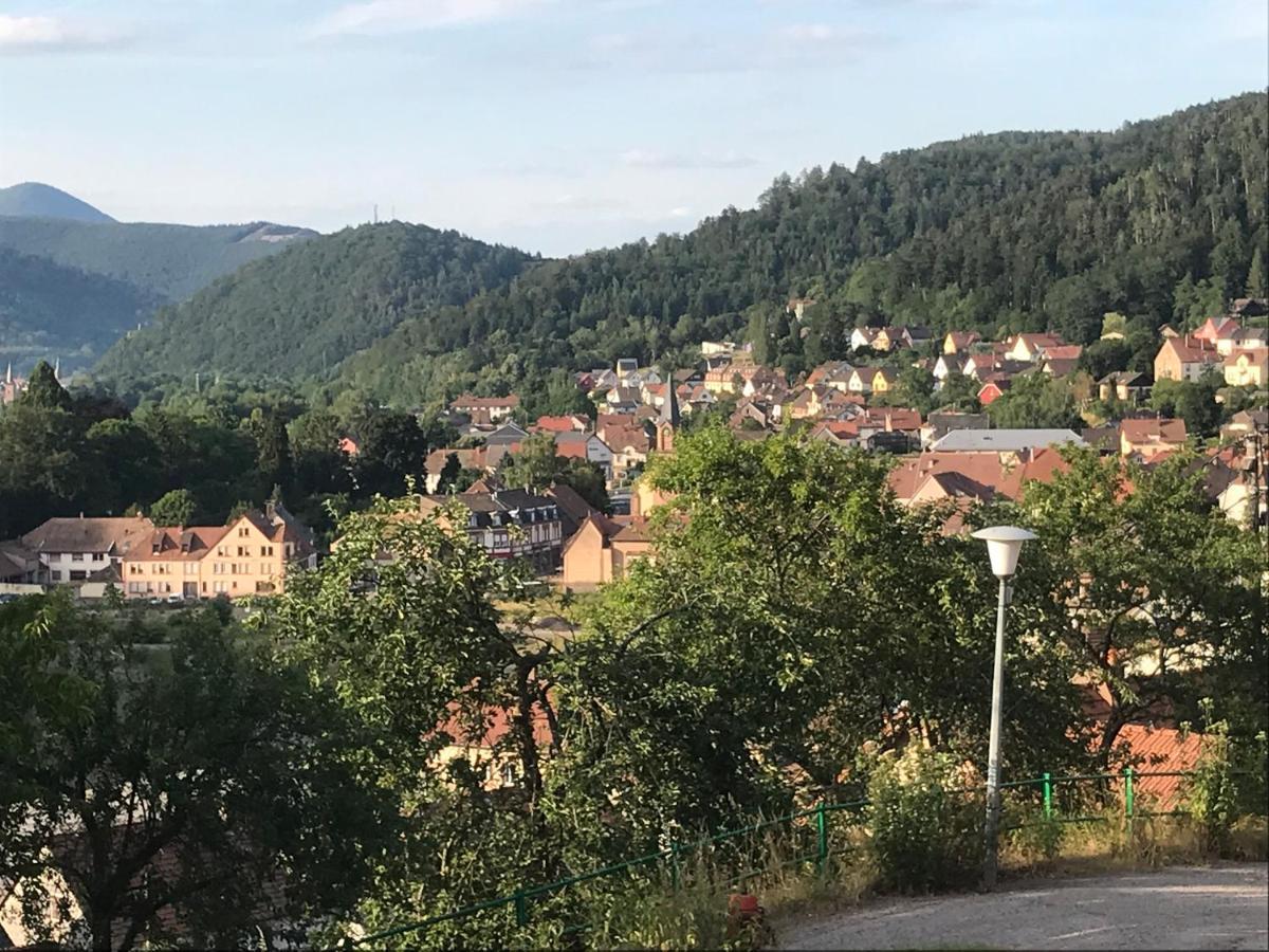 Chez Jose Apartment Rothau ภายนอก รูปภาพ